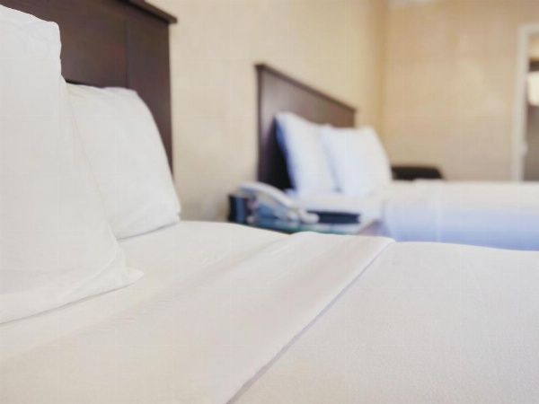 Nite Inn at Universal City - Walking Distance to Universal Studios Hollywood image 83